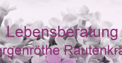 Lebensberatung Morgenröthe Rautenkranz | Top-Experten für Kartenlegen, Wahrsagen, Hellsehen, Zukunftsdeutung.